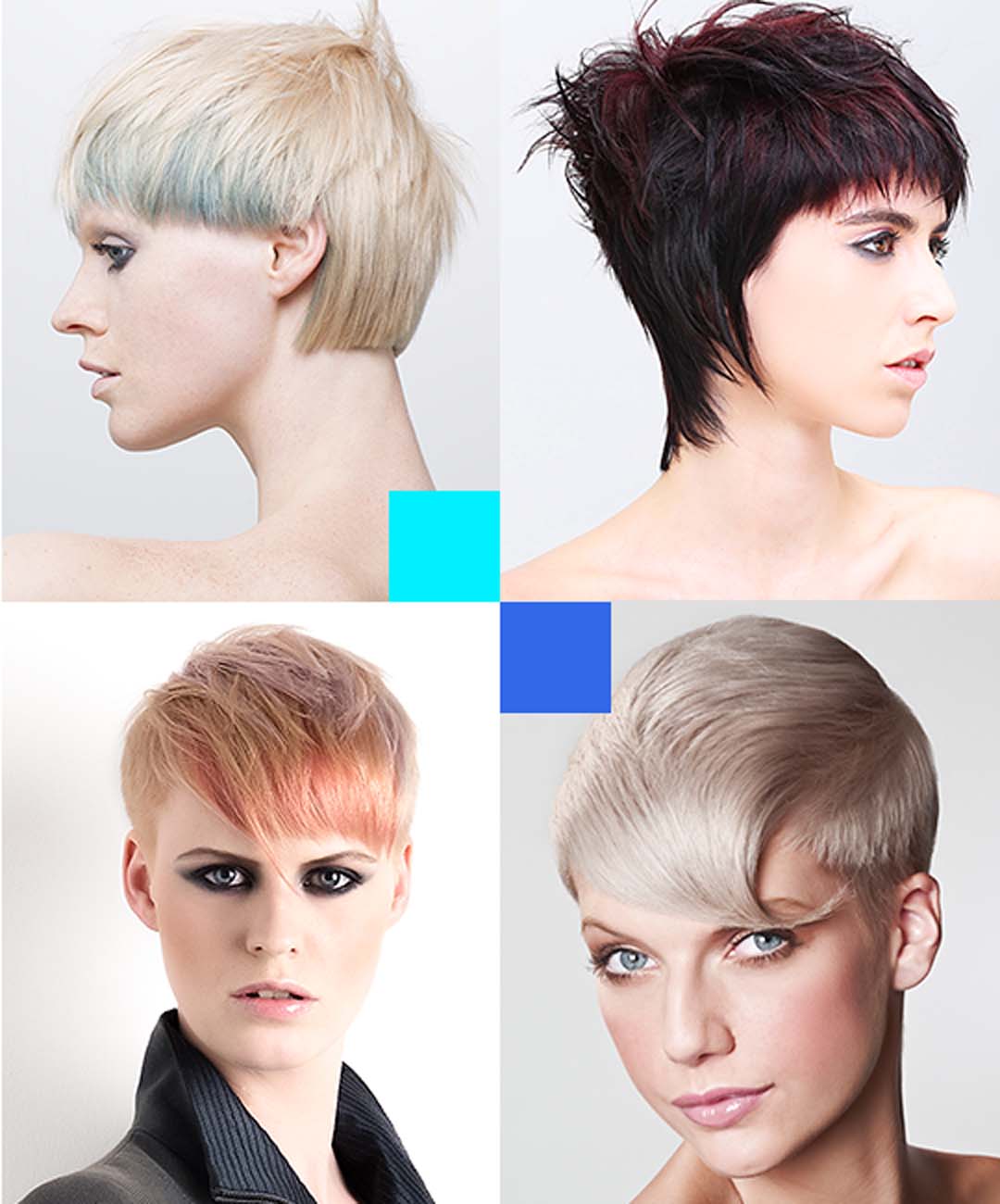 Creative Pixie Cut Next Step Beauty